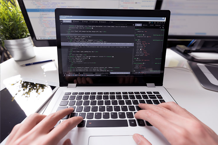 dedicated Software development