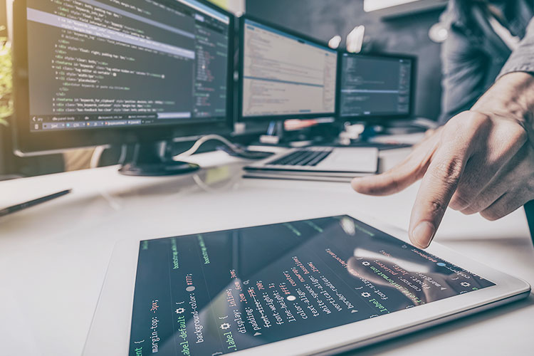 Programming Languages PHP JavaScrip Python SQL and C/C++ Are most used